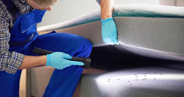 Best Affordable Pest Control Services  in Gatlinburg, TN